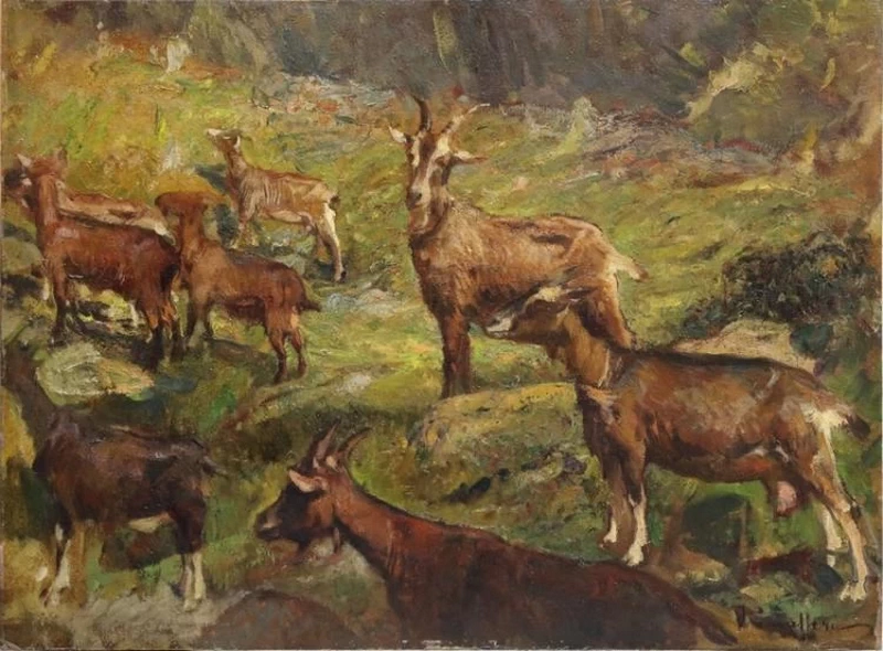 Stambecchi